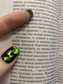 Шарлотта Бронте: Шерли
