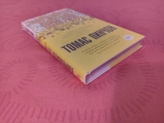 Томас Пинчон: Выкрикивается лот 49