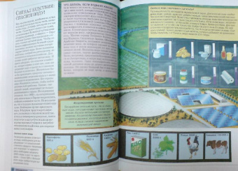 Большая детская иллюстрированная энциклопедия