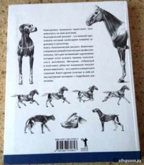 Суньоги, Фехер: Анатомический рисунок. Животные