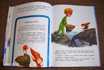 Кристина Кретова: Приключения мышонка Недо на Ладоге. Географические сказки