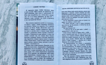 Соноко Матида: Песнь одиноких китов на частоте 52 Гц