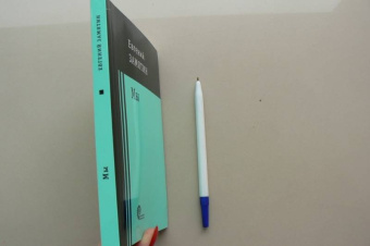 Евгений Замятин: Мы