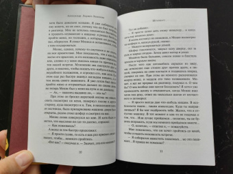 Александр Лернет-Холениа: Штандарт
