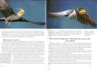 Курт Колар: Кореллы. Содержание и уход