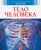 Буэ, Симон: Тело человека