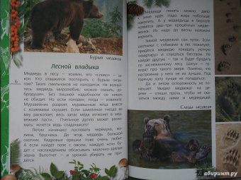 Александр Тихонов: Лесные тайны