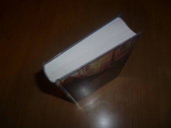 Терри Гудкайнд: Воин по зову сердца