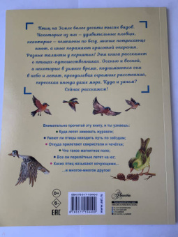 Петр Волцит: Куда летят перелётные птицы?