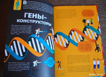 Макс Пембертон: Тело человека. Как работает наш удивительный организм