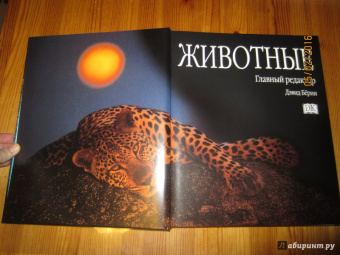Животные