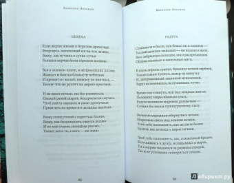 Среди печальных бурь. Из польской поэзии XIX-XX веков