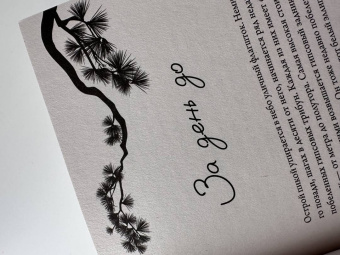 Дарья Недошивина: Четвертый корпус, или Уравнение Бернулли