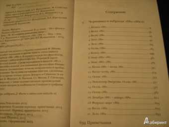 Фридрих Ницше: Полное собрание сочинений. В 13-ти томах. Том 9
