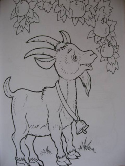 Татьяна Коваль: Домашние любимцы