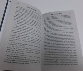 Данил Корецкий: Тени черного волка
