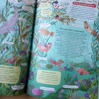 Амандин Тома: Через океаны