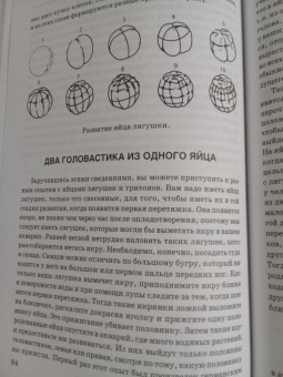 Александр Никольский: Занимательная зоология