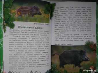 Александр Тихонов: Лесные тайны