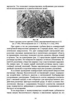 Сахно, Ватников, Ленченко: Электронная микроскопия в ветеринарной медицине. Учебное пособие для СПО