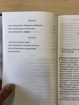 Аша Лемми: Пятьдесят слов дождя