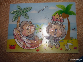 Водная раскраска "Обезьянки" (AP-4001H)