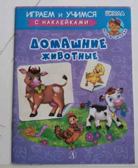 Ирина Шестакова: Домашние животные