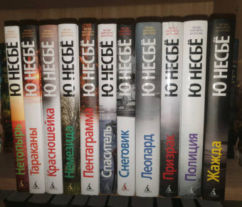 Ю Несбё: Полиция