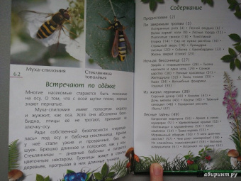 Александр Тихонов: Лесные тайны