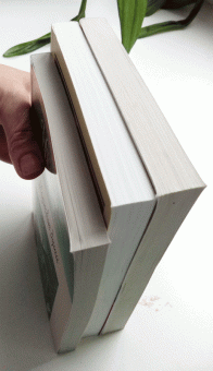 Михаил Лермонтов: Герой нашего времени