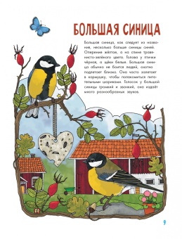 Эмма Янссон: Птицы