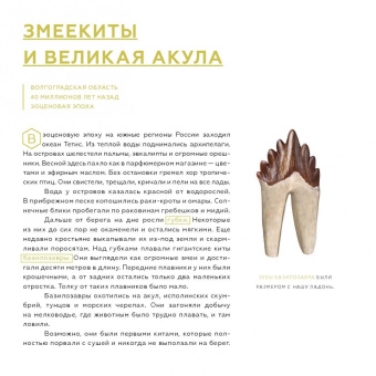 Антон Нелихов: Древние чудовища России. Палеонтологические истории для детей и взрослых (с автографом автора)