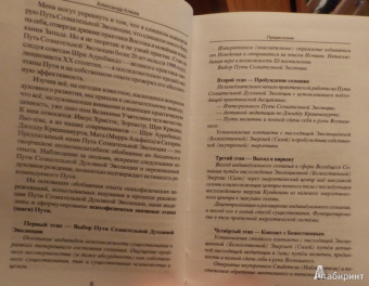 Александр Клюев: Рождение в духе. Практическое руководство по реализации Пути Сознательной Эволюции