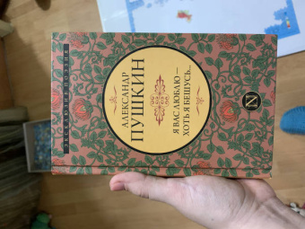 Александр Пушкин: Я вас люблю — хоть я бешусь...