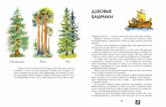 Николай Осипов: Заколдованное дерево