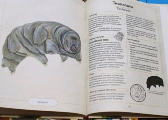 Сэми Бэйли: Энциклопедия удивительных животных