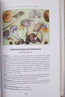 Михаил Вишневский: Ядовитые грибы России