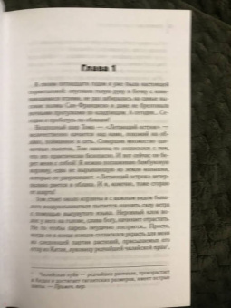 Стейси Ли: Наперегонки с Луной