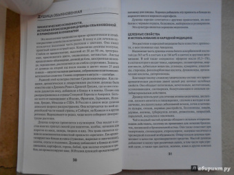 Галина Сергеева: Пряные травы и специи для вашего здоровья