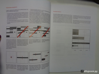 Кимберли Элам: Графический дизайн. Принцип сетки