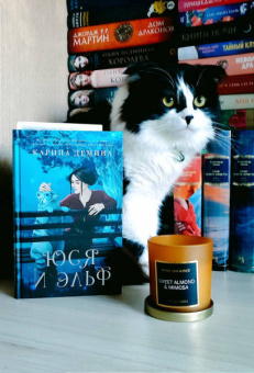 Карина Демина: Юся и эльф