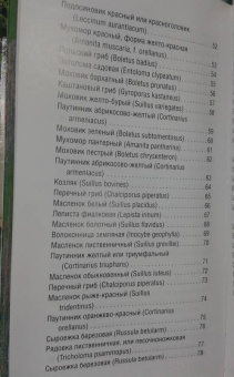 Матанцева, Матанцев: Грибы. Карманный справочник-определитель. Самые распространенные грибы и их двойники