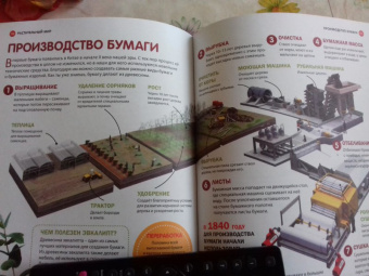 Горы, леса и растительный мир