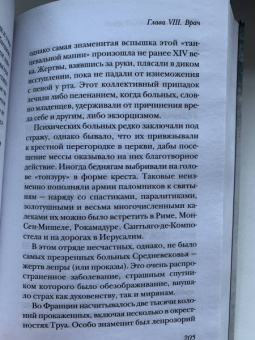 Гис, Гис: Жизнь в средневековом городе