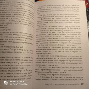 Франк Тилье: Адский поезд для Красного Ангела