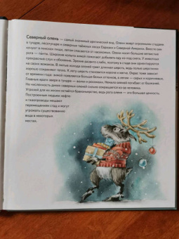 Женя Григорьева: Желание на Новый год. Как оленёнок спас друзей. Полезные сказки