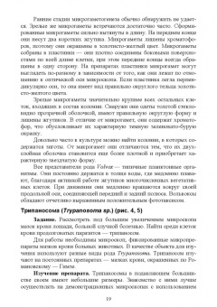 Блохин, Блохина: Практикум по зоологии. Учебное пособие для вузов