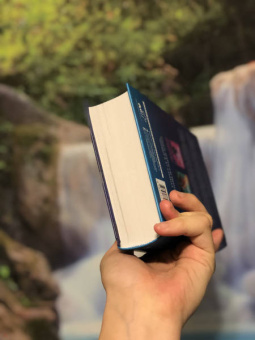 Марисса Мейер: Рапунцель