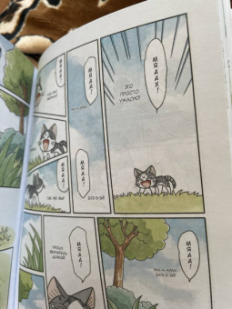 Конами Каната: Милый дом Чи. Книга  11