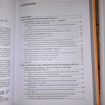 Леонид Китаев-Смык: Стресс. Эмоции и соматика